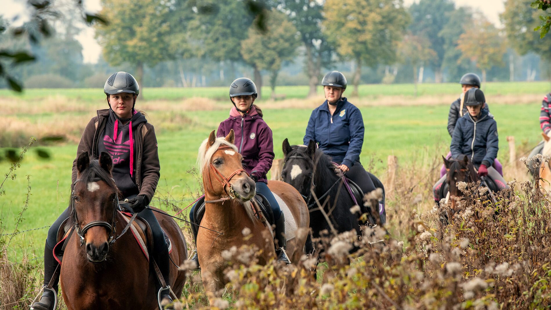 campingplatz-brockmuehle-ausritt-01