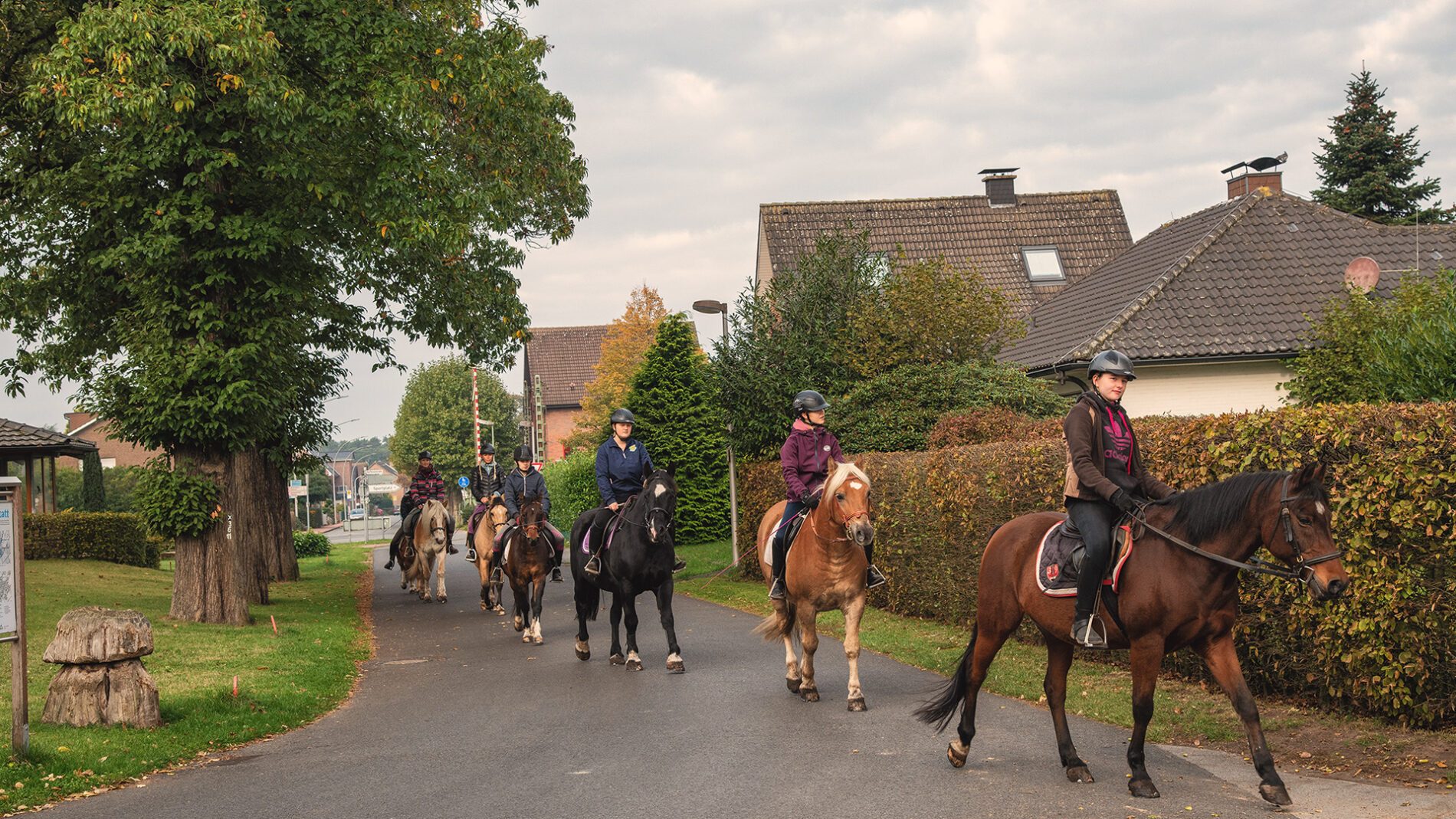 campingplatz-brockmuehle-ausritt-02