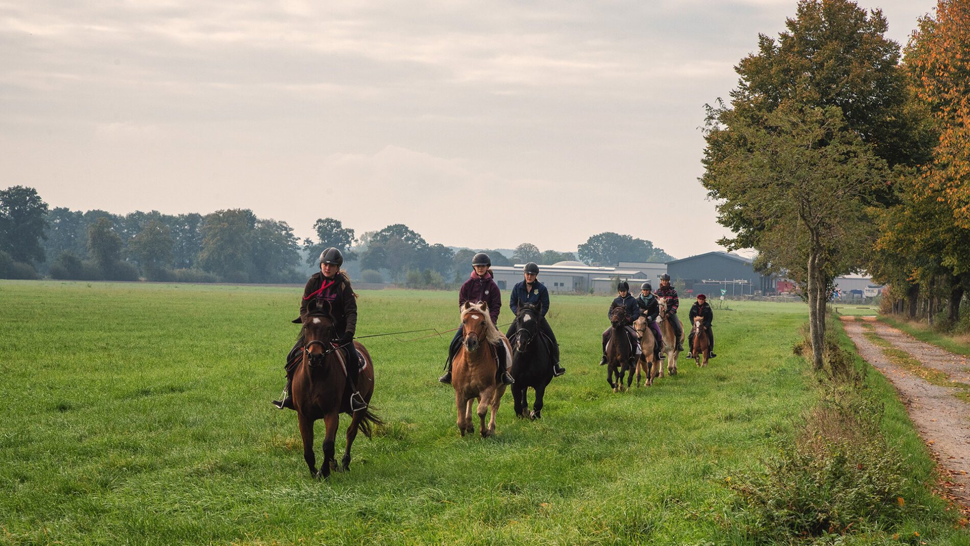 campingplatz-brockmuehle-ausritt-03