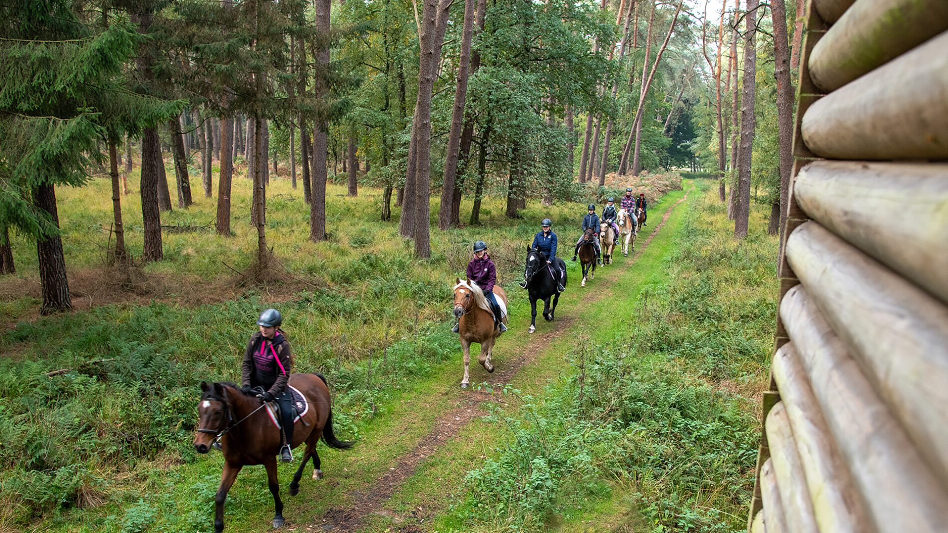 campingplatz-brockmuehle-ausritt-04