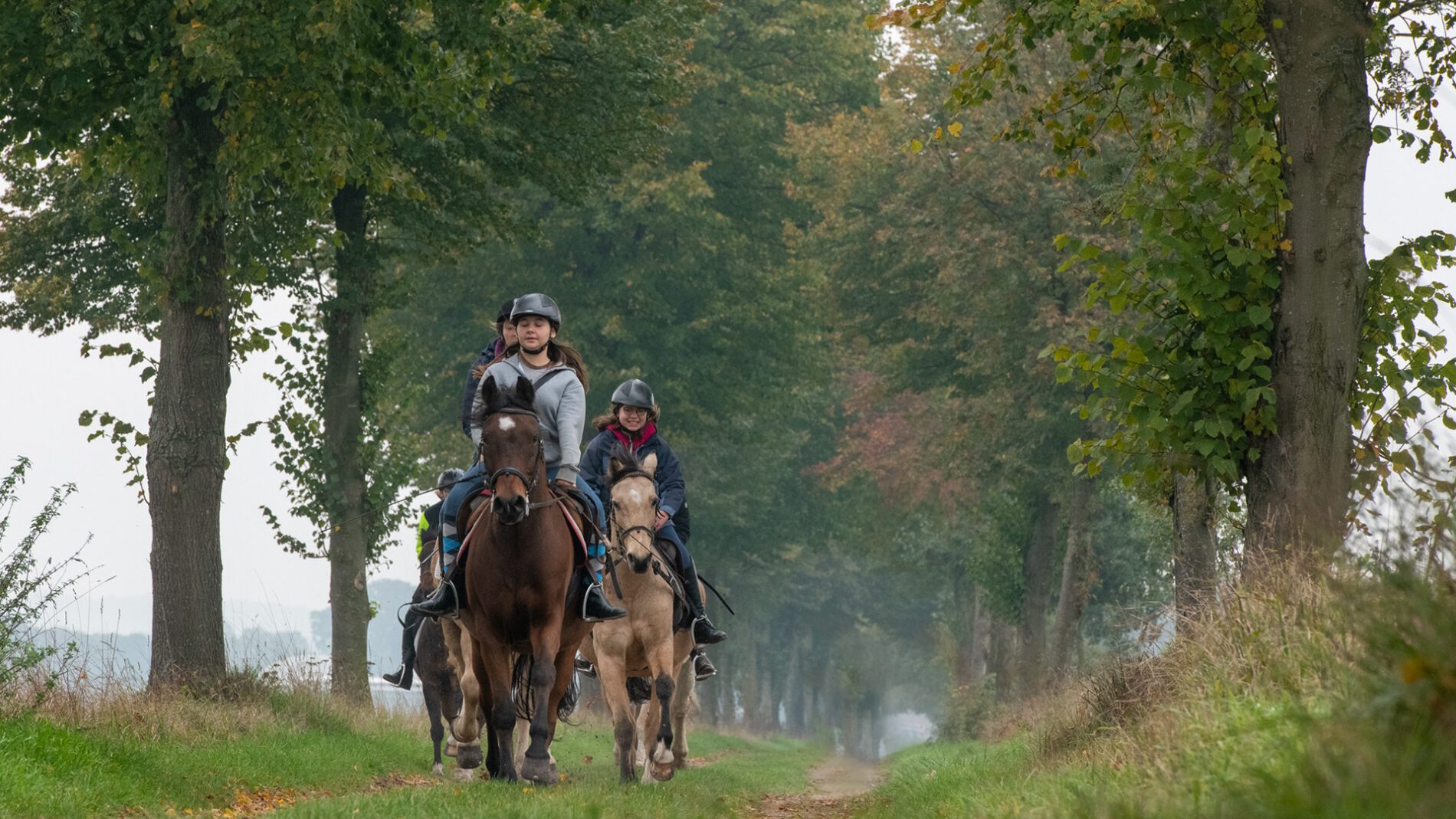 campingplatz-brockmuehle-ausritt-08