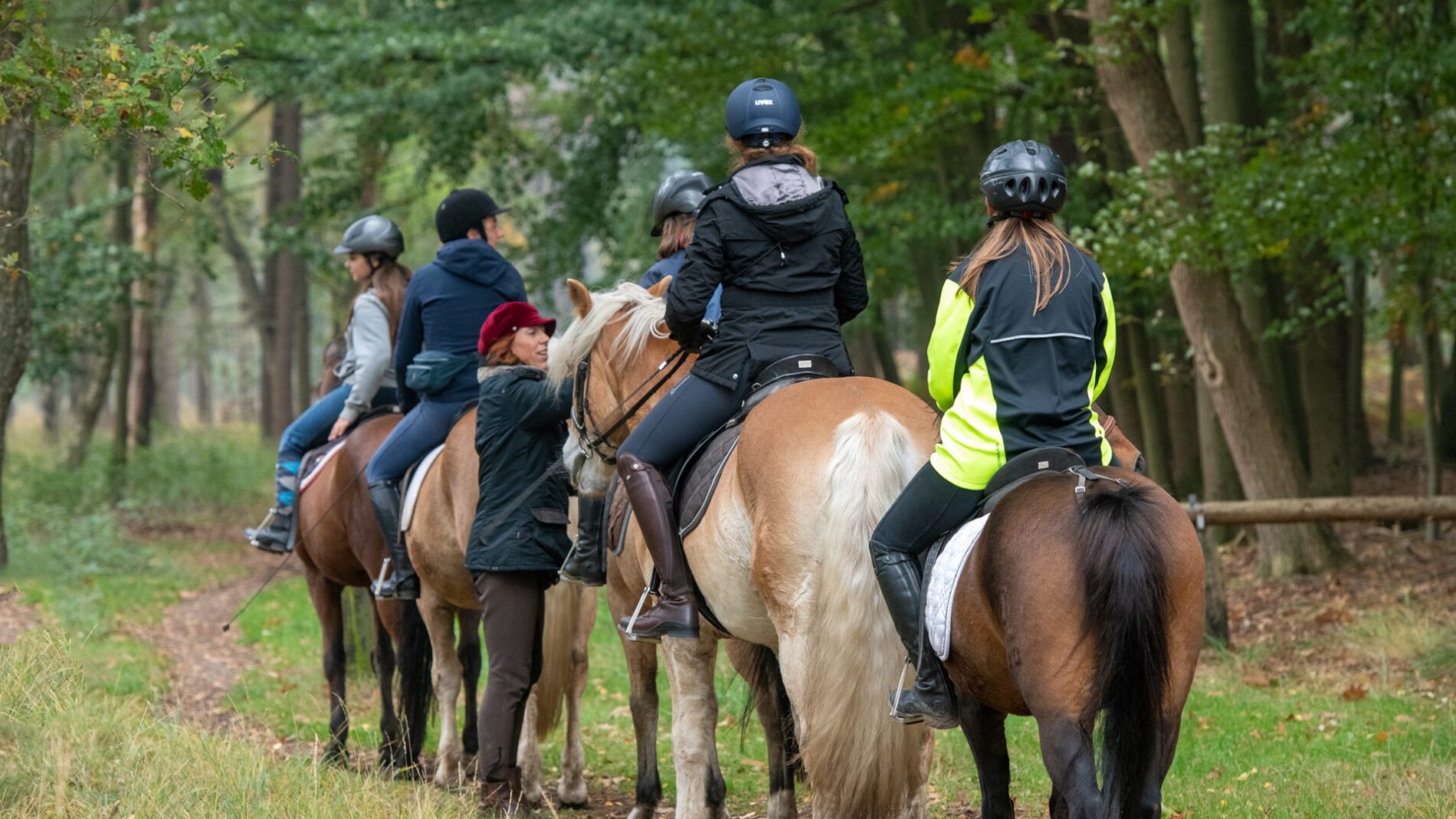 campingplatz-brockmuehle-ausritt-09