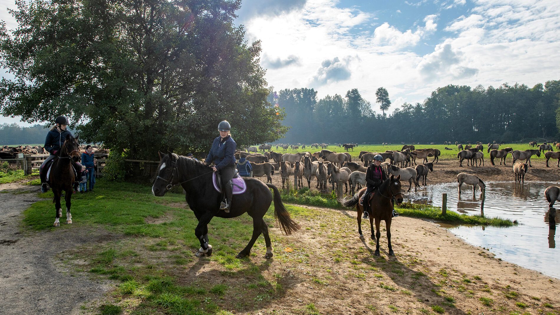 campingplatz-brockmuehle-ausritt-13
