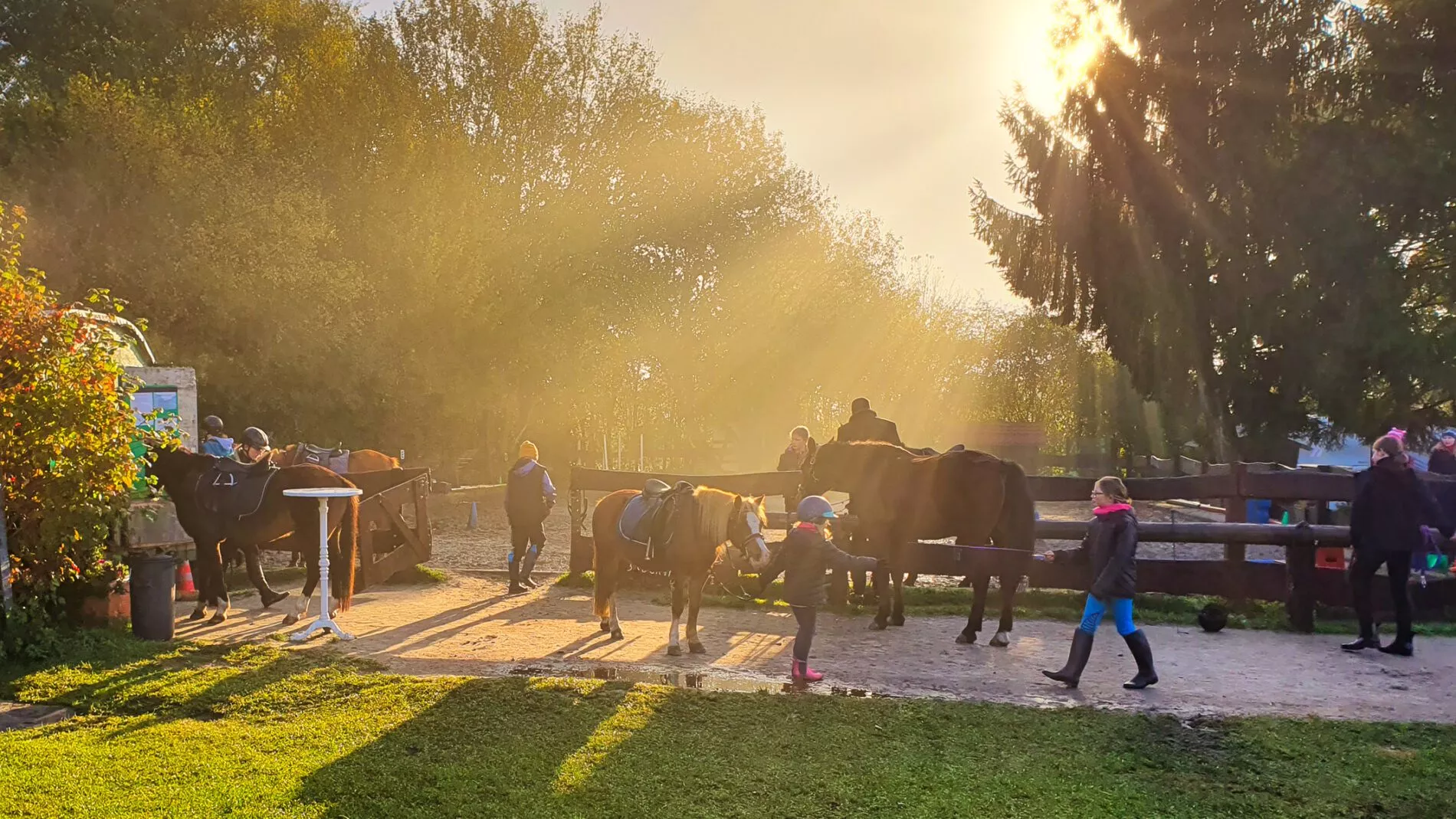 Reitplatz_Sonne Reitplatz_Sonne
