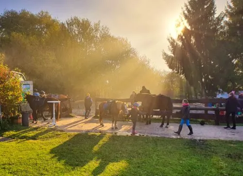 Reitplatz_Sonne