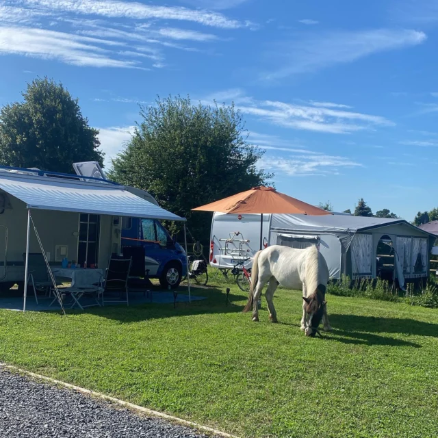 Ein ganz normaler Morgen ☕️