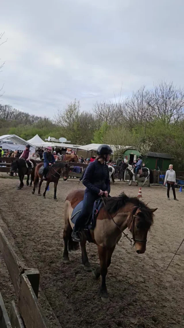 Rückblick auf die Ostertage..so sieht unser Reitbetrieb ein paar Stunden vor dem großen Osterfeuer aus. Der Bierwagen steht und wird fleißig genutzt.
Im Hintergrund ist das Holz schon aufgestellt, die Musik läuft.
Den Pferden ist der Trubel ziemlich egal. Immer entspannt bleiben ist ihre Devise.
Schon erstaunlich für Fluchttiere. So ein Vertrauen das ihnen nichts passiert